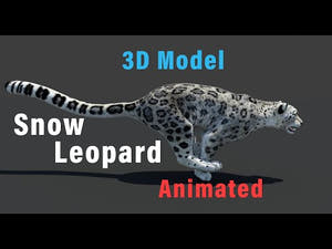 Realistic Snow Leopard 3D Model for Download with Running and Walking animations Thumbnail