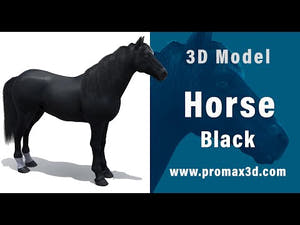 Black Horse 3D Model Fur Thumbnail