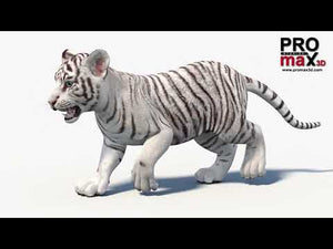 Animated White Tiger Cub 3D Model Thumbnail