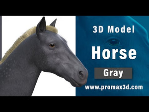 Realistic Grey Horse 3D Model Thumbnail