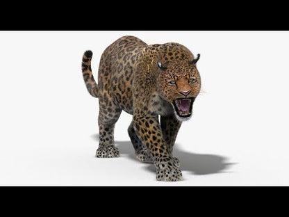 Leopard Animated Fur 3D Model