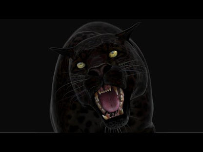 Animated Black Panther Animal 3D Model