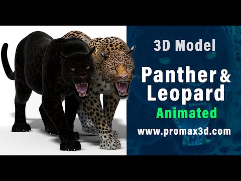 Animated Leopard and Panther 3D Model