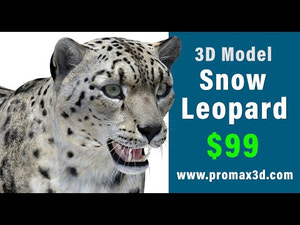 Realistic Snow Leopard 3D Model for Download - 360 turntable view Thumbnail