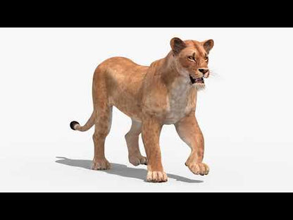 Animated Lioness 3D Model