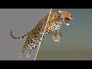 Leopard 3D Model Animated Thumbnail