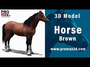 Brown Horse 3D Model Fur Thumbnail