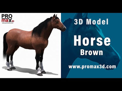 Brown Horse 3D Model Fur