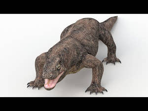 Realistic Komodo Dragon 3D Model for Download - 360 Turntable View Thumbnail