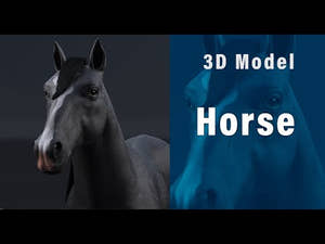 Black Horse 3D Model Thumbnail