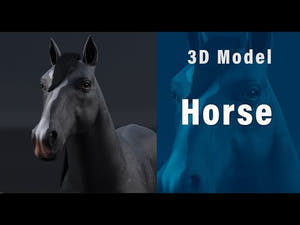 Black Horse 3D Model Thumbnail