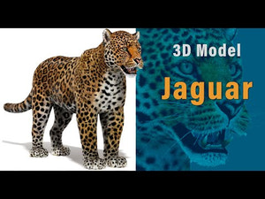 Jaguar 3D Model with Fur Thumbnail