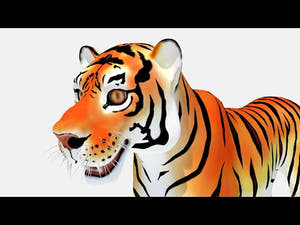 Cartoon Tiger 3D Model 360 view Thumbnail