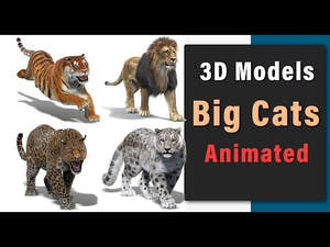 Animated Big Cats 3D Model with Fur and Animation Cycles Thumbnail