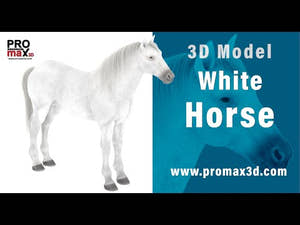 White Horse 3D Model Thumbnail