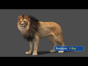 Rigged Lion 3D Model - Polygonal Mane  360 View Thumbnail