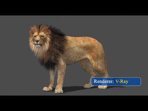 Rigged Lion 3D Model - Polygonal Mane  360 View Thumbnail
