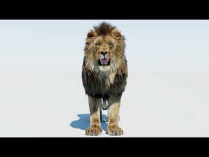 Lion 3D Model with Fur 360 YouTube View Thumbnail