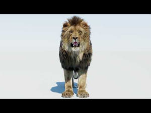 Lion 3D Model with Fur 360 YouTube View Thumbnail