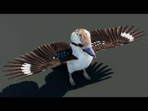 Game-Ready Kookaburra 3D Model Thumbnail