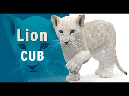Rigged White Lion Cub 3D Model