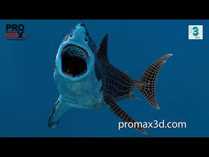 Rigged Great White Shark 3D Model for Download Youtube Video Thumbnail