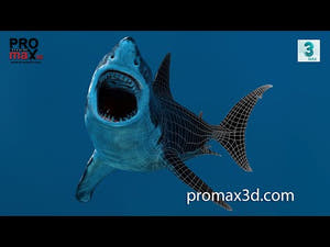 Rigged Great White Shark 3D Model for Download Youtube Video Thumbnail