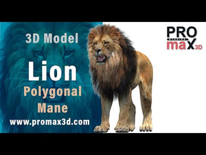 Realistic Lion 3D Model download 360 view Thumbnail