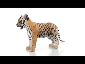 Realistic Baby Tiger 3D Model for Download 360 turntable view Thumbnail