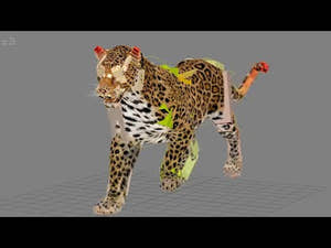Leopard 3D Model Animated Thumbnail