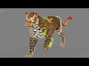 Leopard 3D Model Animated Thumbnail