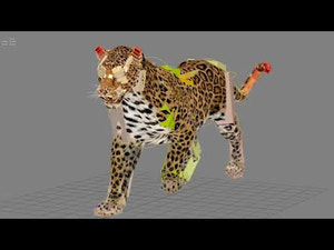 Leopard 3D Model Animated Thumbnail