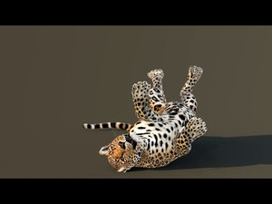 Leopard 3D Model Animated Thumbnail