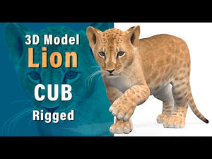 Rigged Lion Cub 3D Model for Download 360 view Thumbnail