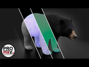 Game Ready Black Bear 3D Model for Download - 360 Turntable View Thumbnail