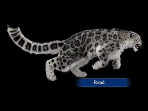 Snow Leopard 3D Model Animated with Ornatrix Fur – Walk and Run Cycles and 360 Turntable View with Wireframe Thumbnail