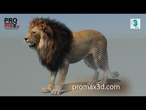Lion 3D Model: Polygonal Mane 360 turntable  Thumbnail