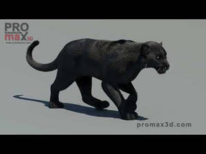 Animated Black Panther 3D Model with Fur Thumbnail