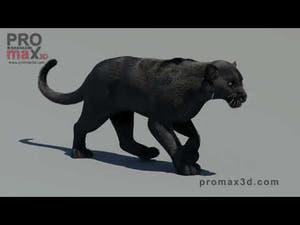 Animated Black Panther 3D Model with Fur Thumbnail