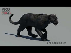 Animated Black Panther 3D Model with Fur Thumbnail