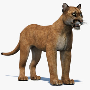 Puma 3D Model for Download Thumbnail