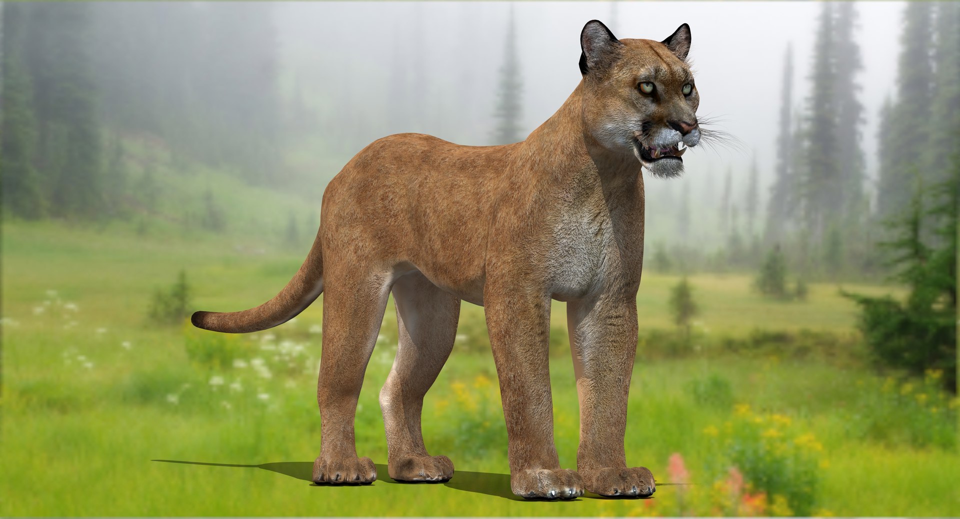 Realistic puma animal 3D model for download