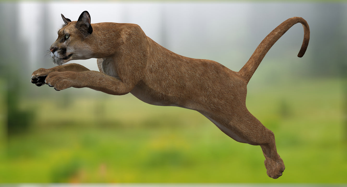 Puma Animated 3D Model