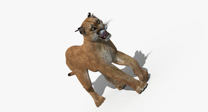 Puma Animated 3D Model