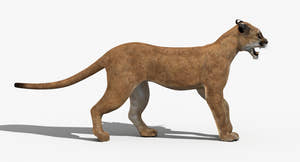Puma Animated 3D Model Thumbnail