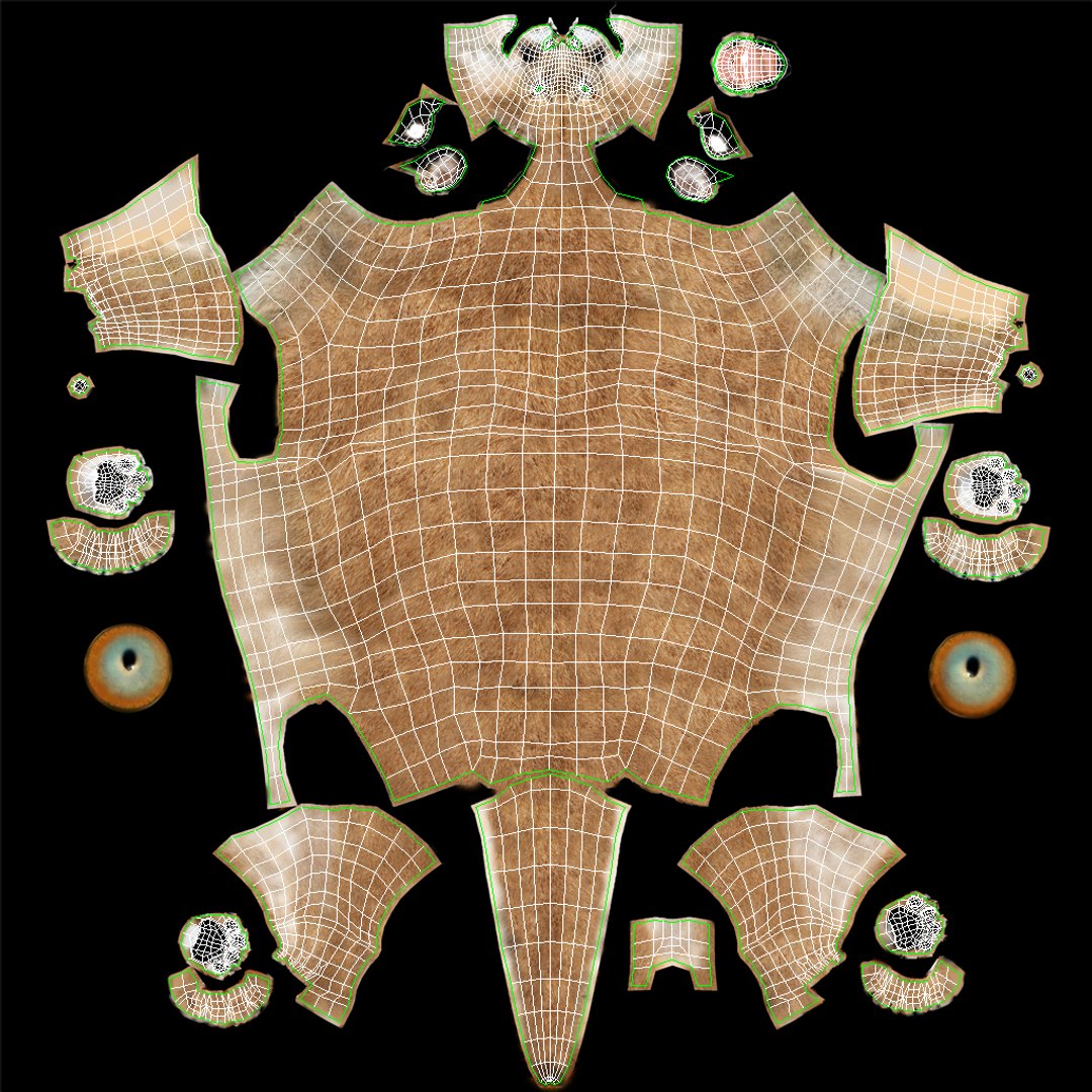 Cougar 3D model Body UVs