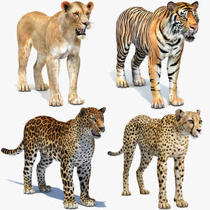 Realistic Big Cats 04 3D Model for Download Thumbnail