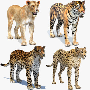 Realistic Big Cats 04 3D Model for Download Thumbnail