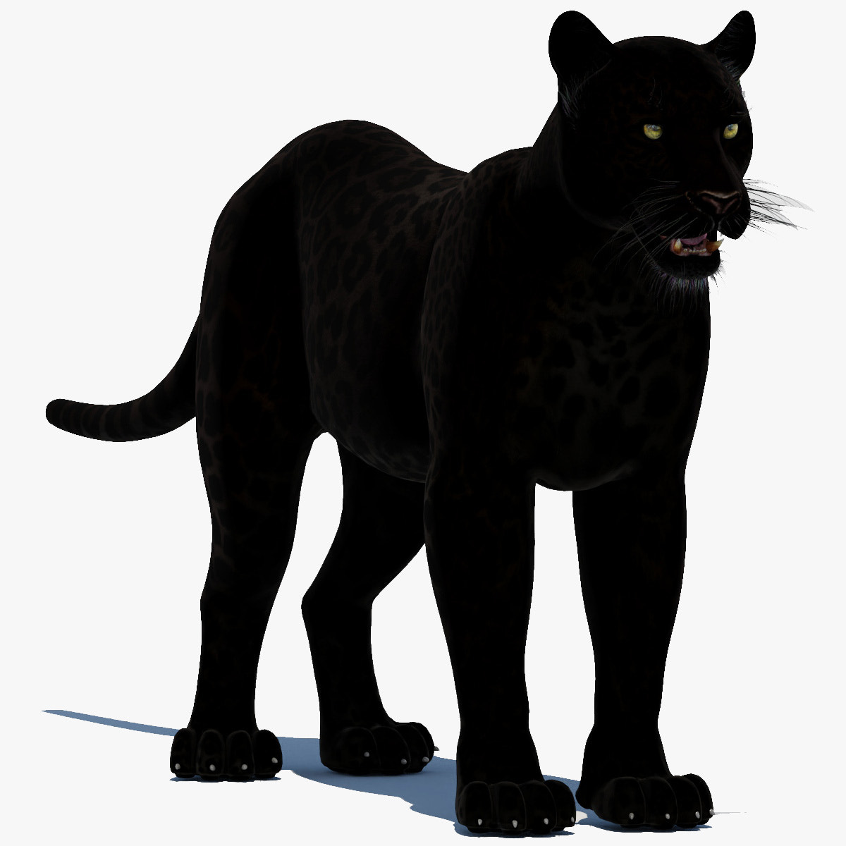 Realistic Black Panther 3D Model for Download