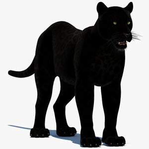Realistic Black Panther 3D Model for Download Thumbnail